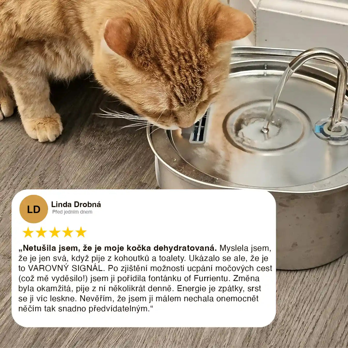Furrient - Nerezová Fontánka Pro Kočky