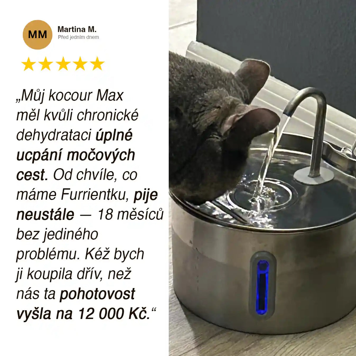 Furrient - Nerezová Fontánka Pro Kočky
